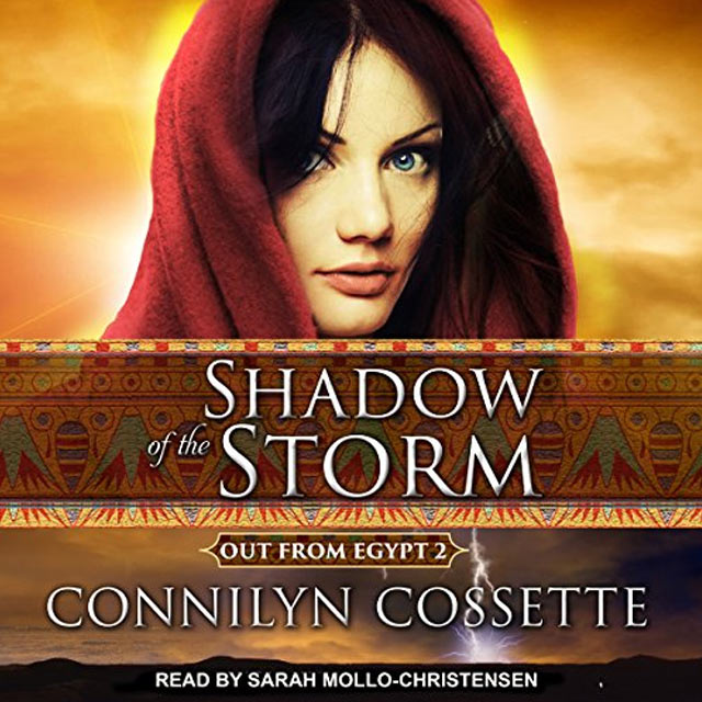 Shadow of the Storm Audiobook