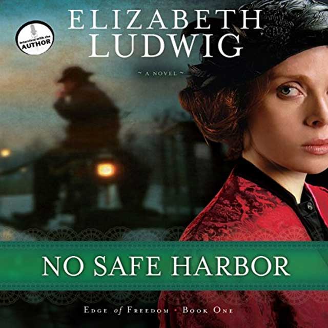 No Safe Harbor Audiobook