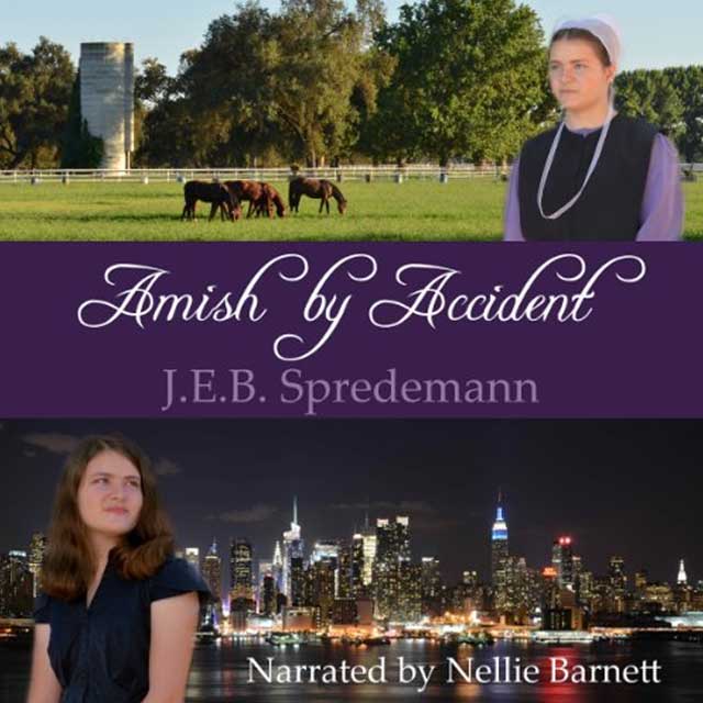 Amish by Accident - Audible Link