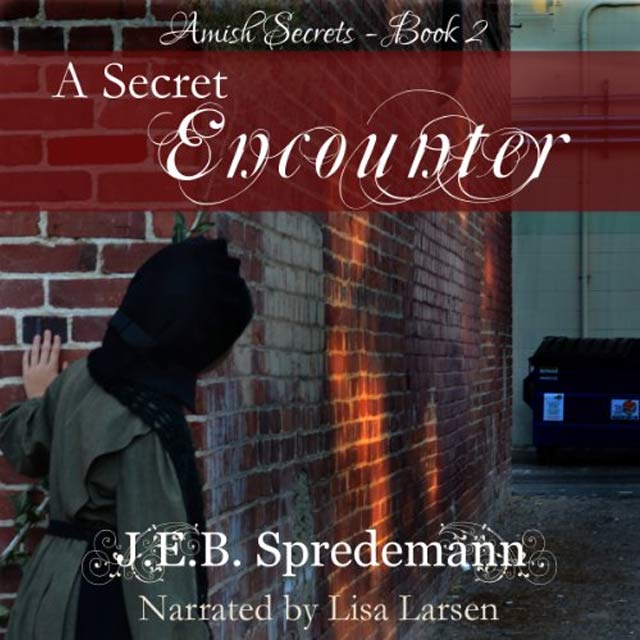 A Secret Encounter - Audible Link