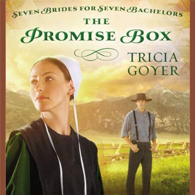 The Promise Box Audio Book